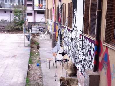 Ex Socrate occupato
